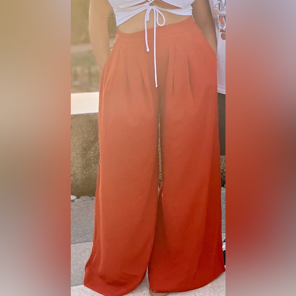 Wide-Leg Rust Pleated Trouser Pants size Large